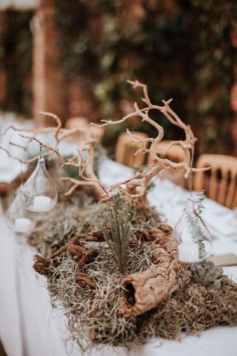 Driftwood Succulents, Floral Treats, Fern Centerpiece, Antlers Photography, Paige Wedding Dress, Driftwood Wedding, Northbrook Park, Wedding Alcohol, Driftwood Centerpiece