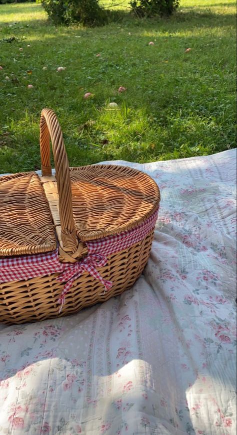 Picnic Basket Aesthetic, Picknick Basket, Never Forget You, Picnic Basket, Pins, Quick Saves