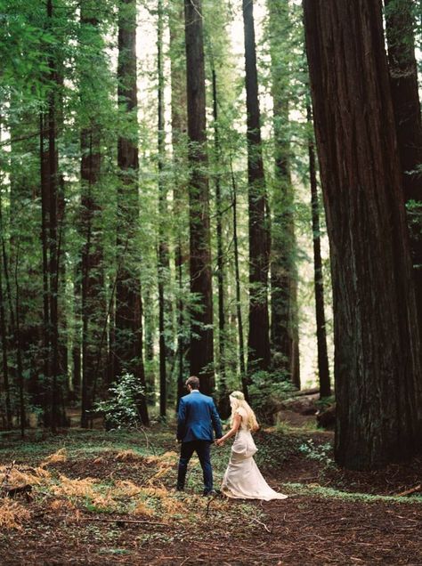 Magical engagement photos in the California Redwood Forests via Magnolia Rouge Forest Wedding Photography, Redwood Forest California, Nestldown Wedding, Redwood Forest Wedding, Wedding Locations California, Northern California Wedding Venues, Redwood Wedding, Beautiful Engagement Photos, Romantic Wedding Photos