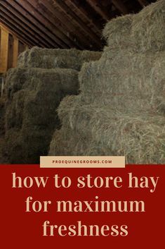 Hay Storage Ideas, Horse Feed Storage, Hay Storage, Horse Nutrition, Homesteading Animals, Horse Farm Ideas, Barn Hacks, Horse Hay, Raising Farm Animals