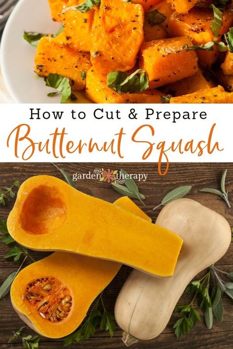 Cooking Butternut Squash, Preparing Butternut Squash, Cook Squash, How To Cook Squash, Easy Butternut Squash, Baked Butternut Squash, Cut Butternut Squash, Baked Squash, Garden Therapy