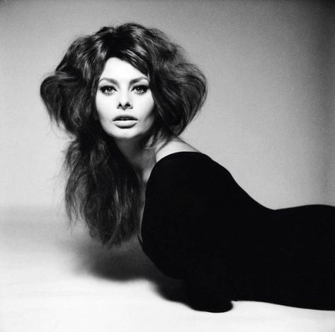 Richard Avedon Photos, Richard Avedon Photography, Isabelle Adjani, Sofia Loren, Paolo Roversi, Italian Beauty, Italian Actress, Richard Avedon, Actrices Hollywood