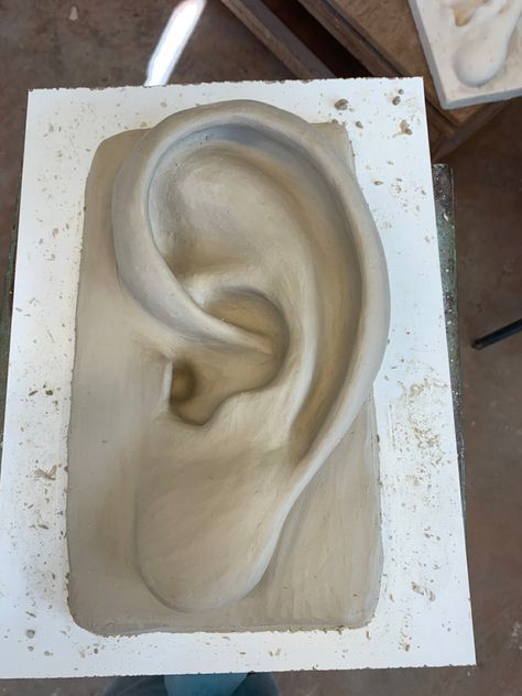 Ear Sculpture, Eyes Sculpture, Eye Clay, Ceramic Sculpture Figurative, Sculpting Tutorials, Human Body Drawing, Anatomy Sculpture, Human Sculpture, Beginner Pottery