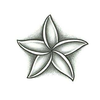 Jasmine Flower. Would be cute with the anchor design that I have in mind. Fiori Frangipani, Jasmine Flower Tattoo, Jasmine Tattoo, Tumblr Flower, Flower Pattern Drawing, Hawaiian Tattoo, Flower Tattoo Sleeve, Tattoo Desings, Flowers Tattoo