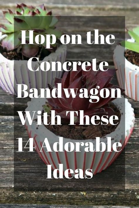 14 adorable concrete projects you're going to love! #hometalk #diy #concrte #cement #diyconcrete #diyprojects Cement Art Concrete Projects, Diy Cement Projects, Treehouse Construction, Cement Furniture, Concrete Creations, Cement Projects, Hometalk Diy, Pot Diy, Planter Project