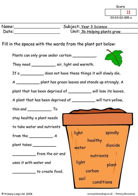 PrimaryLeap.co.uk - How do plants grow Worksheet Photosynthesis Worksheet, Ks2 Science, Grade 3 Science, Plants Worksheets, Cloze Activity, Worksheets For Grade 3, Plant Activities, 7th Grade Science, 5th Grade Science