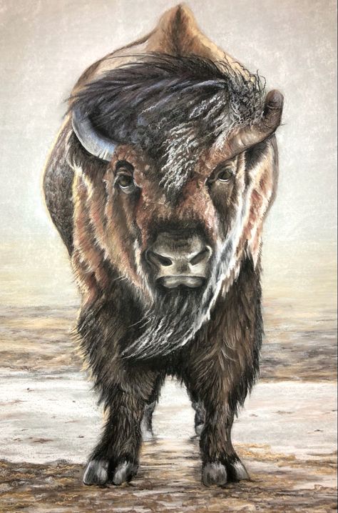 Buffalo drawing standing in winter field Buffalo Drawing, American Drawing, Soft Pastel Drawing, Buffalo Wall Art, Buffalo Painting, Native American Drawing, Bison Art, Buffalo Art, Soft Pastels Drawing