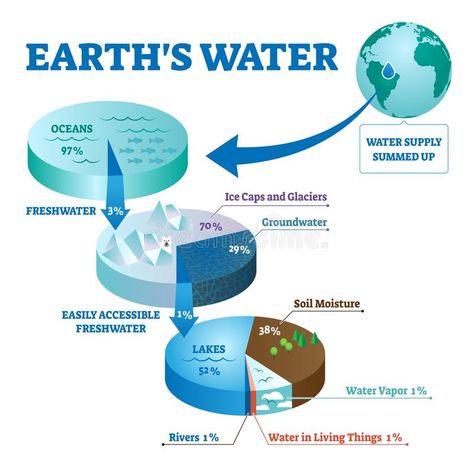 Earths water vector illustration. Labeled global liquids ecosystem scheme. Environmental fresh ocean, river, sea and groundwater summed together. Calculation royalty free illustration Earth Worksheet, Water Worksheet, Animals And Plants, Earth Surface, About Water, Water Cycle, Environmental Education, Facts For Kids, Environmental Science