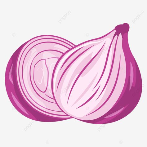 Red Onion Illustration, Onions Illustration, Onion Aesthetic, Cookbook Drawings, Onion Clipart, Onion Illustration, Onion Cartoon, Onion Drawing, Vector Vegetables