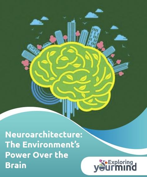 Neuroarchitecture: The Environment's Power Over the Brain  The purpose of neuroarchitecture is to create spaces of happiness, well-being, productivity, and quality of life. Find out more here! Interior Design Portfolio Layout, Ra Bulletin Boards, Human Body Unit, Cognitive Bias, Deaf Culture, Physical Education Games, Brain Science, Presentation Layout, Healthy Work