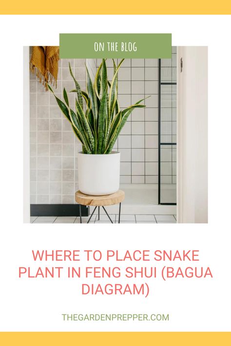 where to place snake plant in feng shui Feng Shui Plants Front Doors, Feng Shui Entrance, Feng Shui Wealth Corner, Feng Shui Front Door, Feng Shui Room, Room Feng Shui, Feng Shui Plants, Feng Shui Bagua, Feng Shui Living Room