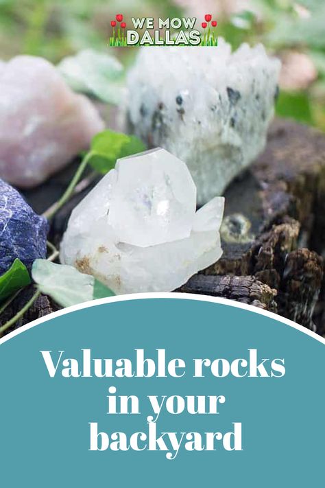 valuable rocks in your backyard Spring Lawn Care, Rock Sculpture, Backyard Diy, Lawn And Landscape, Types Of Crystals, Types Of Soil, Diy Backyard, Lawn Care, How To Find