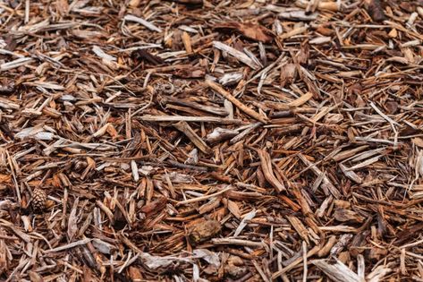 What Color Mulch Should You Use, and What Kind? What Color Mulch Should I Use, Wood Mulch Landscaping, Mulch Colors Curb Appeal, Mulch Colors Choosing, Brown Mulch Landscaping, Mulch Colors, Cream Colored Houses, Brown Mulch, Rock Mulch