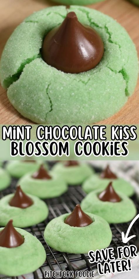 Mint chocolate kiss blossom cookies are the sweet treat you have been looking for! They're puffy, minty, and green, making them the perfect holiday dessert or gift. Save this scrumptious blossom cookie recipe and make your St. Patrick's Day celebrations even more magical! Mint Kiss Cookies, Kiss Blossom Cookies, St Patricks Food, Mint Desserts, Kiss Cookies, Blossom Cookies, St Patricks Day Food, Holiday Dessert, Oatmeal Chocolate Chip Cookies