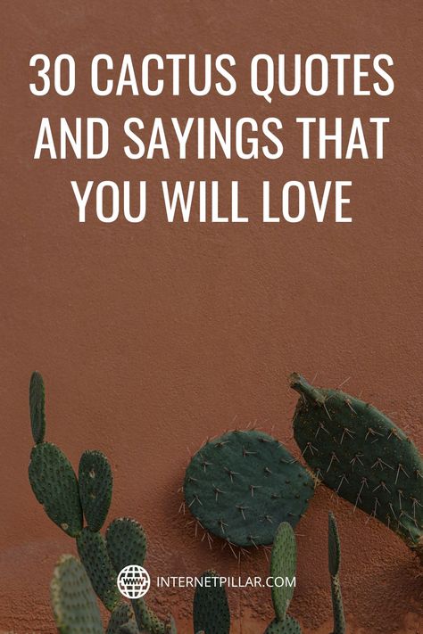 30 Cactus Quotes and Sayings That You Will Love - #quotes #bestquotes #dailyquotes #sayings #captions #famousquotes #deepquotes #powerfulquotes #lifequotes #inspiration #motivation #internetpillar Cactus Quotes Cactus Quotes Inspirational, Quotes About Cactus, Funny Cactus Sayings, Cacti Quotes, Quotes About Cactus Life, Cactus Quotes Inspirational Short, Cactus Love Quotes, Cactus Memes Funny, Desert Love Quotes