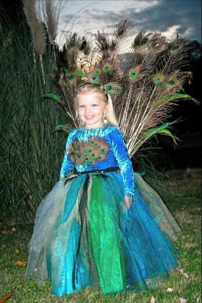 Peacock Costume | Costume Pop Halloween Costumes Kids Homemade, Peacock Halloween, Halloween Treats To Make, Great Costume Ideas, Peacock Costume, Kids Homemade, Halloween Treats Easy, Peacock Dress, Tutu Costumes