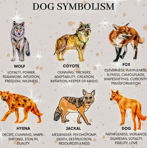 Dog Symbolism, Animal Familiars Witch, Witchcraft Animals, Dog Spiritual Meaning, Witch Familiar Animals List, Dogs In Witchcraft, Fox Symbolism, Fictional Disease Art, Crow Spirit Animal