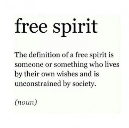 Quotes Freedom, Free Spirit Aesthetic, Bird Quotes, Freedom Quotes, Free Spirit Quotes, Water Tribe, Bird Free, Spirit Quotes, Free Soul