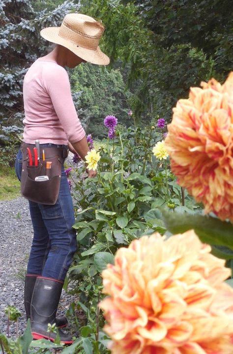 wheeler-munroe-farm-belt-gardenista Garden Belt, Garden Tool Belt, Florist Tools, Object Of Desire, Tool Apron, Tool Belts, Flower Farmer, Gardening Apron, Gardening Outfit