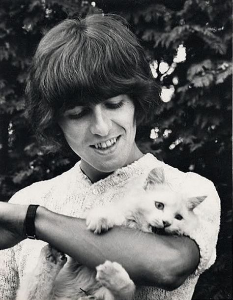 …and are 25% more likely to favor George. | 15 Facts That Prove Cat People Aren’t Crazy (They’re Awesome) George Beatles, Celebrities With Cats, Patricia Highsmith, Men With Cats, Beatles George, Beatles Fans, Beatles John, I'm With The Band, Cat People