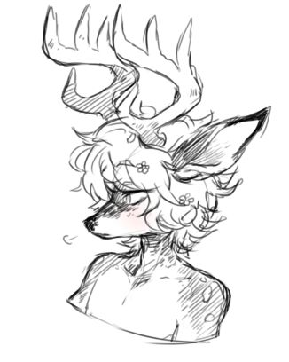 c( u ;0;), How do you draw kemono deer? I'm just curious how... Antler Drawing Reference, Deer Horns Drawing, Deer Fursona Base, Deer Sona, Deer Fursona, Antler Art Drawing, Antlers Drawing, Antler Drawing, Deer Oc