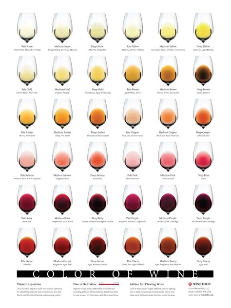 Wine visual analysis: How to look at wine - Knowledge Centre Types Of Wine Glasses, Wine Corker, Wine Chart, Wine Facts, Different Types Of Wine, Wine Folly, Wine Knowledge, Info Board, Wine Education