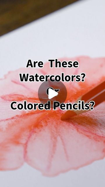 Blick Art Materials on Instagram: "💦 ✏️ Watercolor Pencils… are they watercolors or are they colored pencils? 🤔 Turns out they’re a little bit of both, creating their own expressive medium! See them in action with the Caran d’Ache Supracolor Soft Aquarelle Pencil Set.   These highly pigmented, water-soluble pencils lay down broad strokes, fine lines, and gradients that transform into lush watercolor washes with a wet brush 🖌️ Layer more pigment on wet and dry areas to achieve a wide range of effects. The possibilities are endless! ✨ Shop at the link in our bio!  _______________ #blickartmaterials #watercolorpencils #watercolors #coloredpencils  #ArtSupplies #CaranDAche @carandache #createwithblick" Pencil Watercolor Drawing, How To Use Watercolor Pencils, Watercolor And Colored Pencil Art, Watercolor Pencils Ideas, Line And Wash Watercolor, Wet On Wet Watercolor, Watercolor Pencils Techniques, Water Brush, Watercolor Pencil