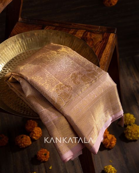 As Rose Gold continues to trend this season, we handpicked this Peach kanchipuram Silk Tissue saree for you which brings with a rose gold metallic hue. The medium pink contrast gold brocade border gleams with peacock motifs in floral series. The contrast gold zari brocade palu with peacock motifs in floral series compliments the overall appeal. #metallicsarees #silktissue #puresilk #indianmetallicsbykankatala #indianmetallics #kanchipuramsaree #handmadewithlove #tissuesaree #indianheritage Gold Wedding Saree, Silk Tissue Saree, Gold Silk Saree, Pink Contrast, New Saree Designs, Tissue Saree, Gold Brocade, Saree Blouse Designs Latest, Bridal Silk Saree