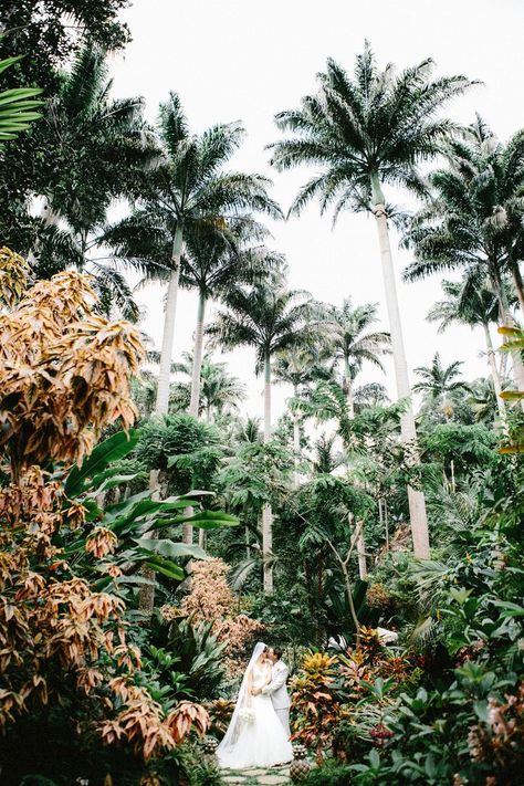 Barbados Wedding Venues, Barbados Wedding Ideas, Rainforest Wedding, Barbados Wedding, Maui Elopement, Barbados Travel, Botanical Gardens Wedding, Caribbean Wedding, Honeymoons