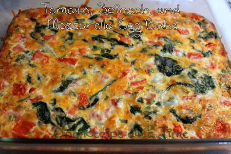 Egg Spinach Bake, Tomato Egg Bake, Tomato Egg Recipe, Spinach Egg Casserole, Spinach And Mozzarella, Breakfast Egg Bake, Tomatoes Dinner, Baked Breakfast Casserole, Mushroom Breakfast