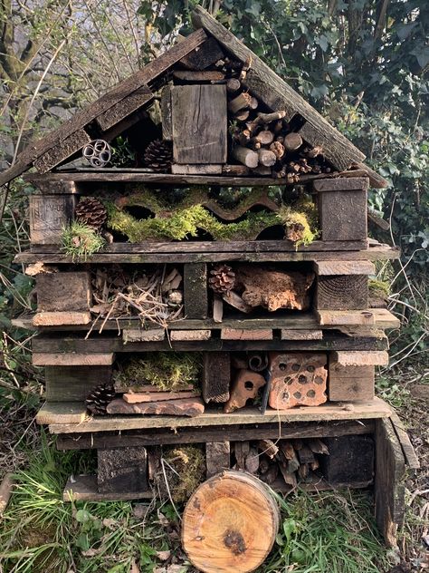 Pallet Bug Hotel Ideas, Pollinator Garden Design, Bee Houses, Bee Friendly Garden, Bee Hotel, Bug Hotel, Insect Hotel, Wildlife Garden, Sensory Garden