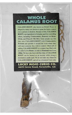 Calamus Root Magic, Calamus Root Magical Properties, Calamus Root, Witchy Herbs, Free Magic Spells, Herb Magic, Hoodoo Rootwork, Magick Herbs, Modern Witchcraft