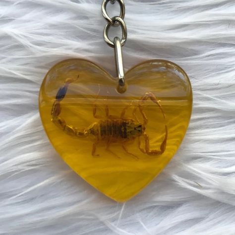 Bug Jewelry Resin, Bug Taxidermy, Real Scorpion, Geeky Clothes, Stationary Craft, City Club, Amber Resin, Resin Keychain, A Bug