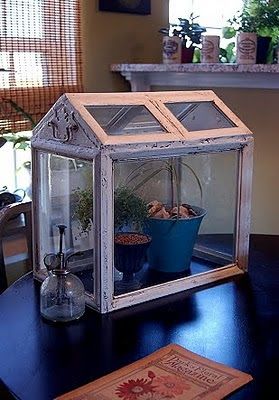 DIY Wardian Case Mini Conservatory, Homemade Greenhouse, Wardian Case, Best Greenhouse, Indoor Greenhouse, Old Picture Frames, Small Greenhouse, Greenhouse Plans, Diy Greenhouse