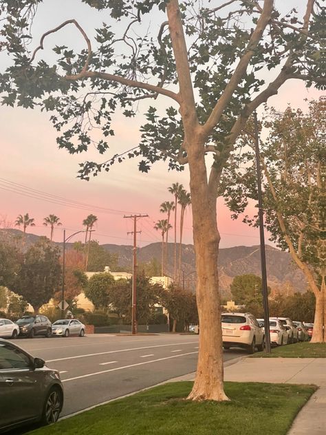 Los angeles sunset palm trees LA burbank Los Angeles Sunset, Happy Birthday Steve, Sunset Palm Trees, Los Angeles Aesthetic, Hollywood Story, 80s Aesthetic, City Of Angels, City Aesthetic, Beverly Hills