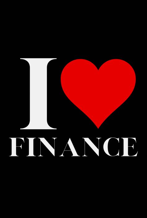 Financial Analyst Aesthetic, Finance Notebook, Financial Aesthetic, Credit Analyst, Financial Controller, Finance Director, Compliance Officer, Budget Planner Book, Finance Manager