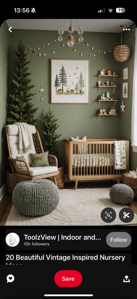 Moody Nursery Ideas, Green Baby Nursery, Green Nursery Boy, Evergreen Nursery, Dark Nursery, Forest Nursery, Green Nursery, Dark Furniture, Night Forest