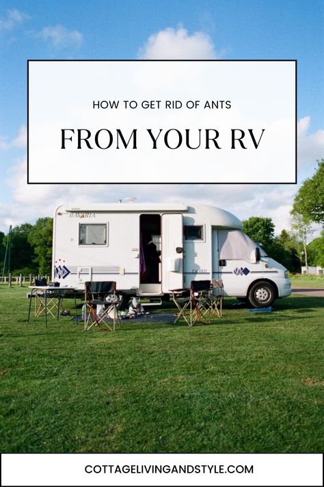 Easy and all natural solutions to getting rid of ants in the camper once and for all! Pull Behind Campers, Window Ac Unit, Rid Of Ants, Class B Rv, Class A Rv, Get Rid Of Ants, Rv Maintenance, Nomad Life, Class C Rv