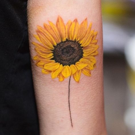 Sunflower Tattoo Realism, Realistic Sunflower Tattoo, Watercolor Sunflower Tattoo, Native Tattoos, Sunflower Tattoos, Botanical Tattoo, Memorial Tattoos, Sunflower Tattoo Design, Sunflower Tattoo