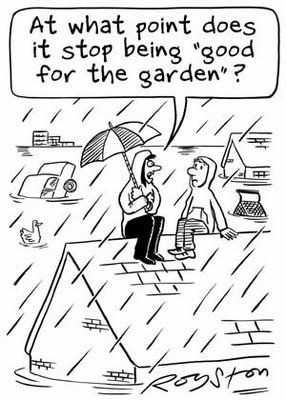 That's too much! Funny Rainy Day Pictures, Funny Rain Quotes, Rain Jokes, Rain Humor, Funny Weather, Rain Quotes, Weather Quotes, Gardening Humor, Rain Rain