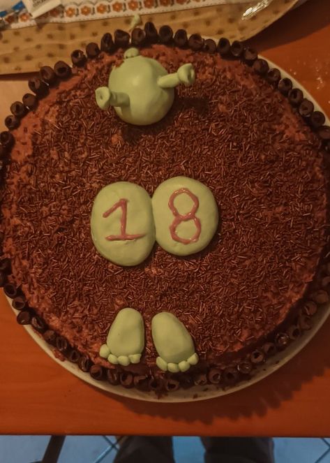 18th Birthday Cake Ideas Funny, Silly Cakes, Shrek Cake, Cakes Funny, Cakes Creative, Cakes Cute, Hedgehog Cake, Ugly Cakes, 17 Birthday Cake