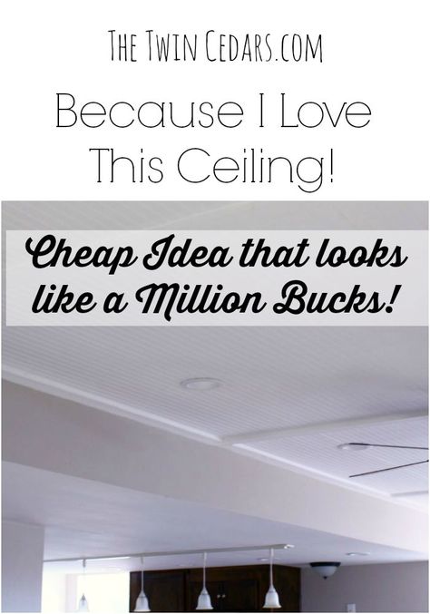 Diy Basement Ceiling, Drop Ceiling Alternatives, Drop Ceiling Makeover, Basement Ceiling Insulation, Basement Ceiling Ideas Cheap, Ceiling Alternatives, Ceiling Tiles Basement, Basement Ceiling Options, Basement Bathroom Design