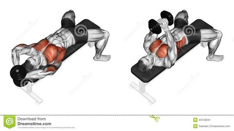 Exercising. Link Dumbbells From Behind The Head - Download From Over 45 Million High Quality Stock Photos, Images, Vectors. Sign up for FREE today. Image: 43722841 Gym Chest Workout, Push Day Workout, Push Workout, Best Chest Workout, Dumbell Workout, Fitness Routines, Exercise Routines, Popular Workouts, Ab Workouts