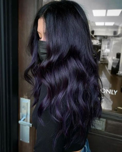 Purple Black Hair, Dark Purple Hair Color, Purple Hair Highlights, Dark Purple Hair, Plum Hair, Violet Hair, Hair Color Purple, Hair Advice, Pretty Hair Color