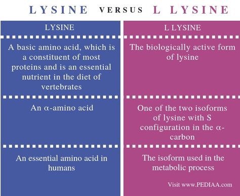 Benefits Of Lysine, L Lysine Benefits For Women, L Lysine Benefits, Cold Sore Prevention, Mineral Nutrition, L Lysine, Essential Amino Acids, Canker Sore, Protein Synthesis