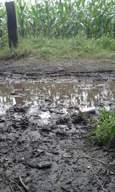 Mud Aesthetic, Poster Burger, Muddy Puddle, Mud Puddle, Course Ideas, Diorama Ideas, Yard, Quick Saves