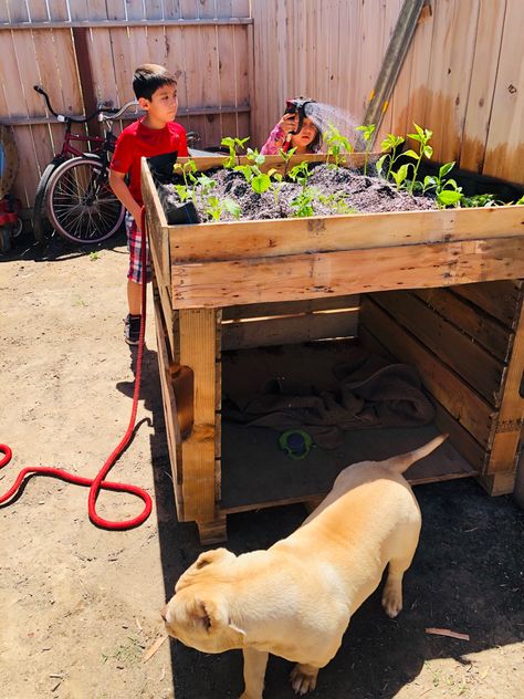 Dog House With Planter On Top, Dog Raised Bed, Outdoor Dog Shelter Diy, Diy Dog Shade Outdoors, Outdoor Dog Bed Diy, Dog House Pallets Diy, Pallet Dog House Easy, Diy Dog Platform, Dog House With Pallets