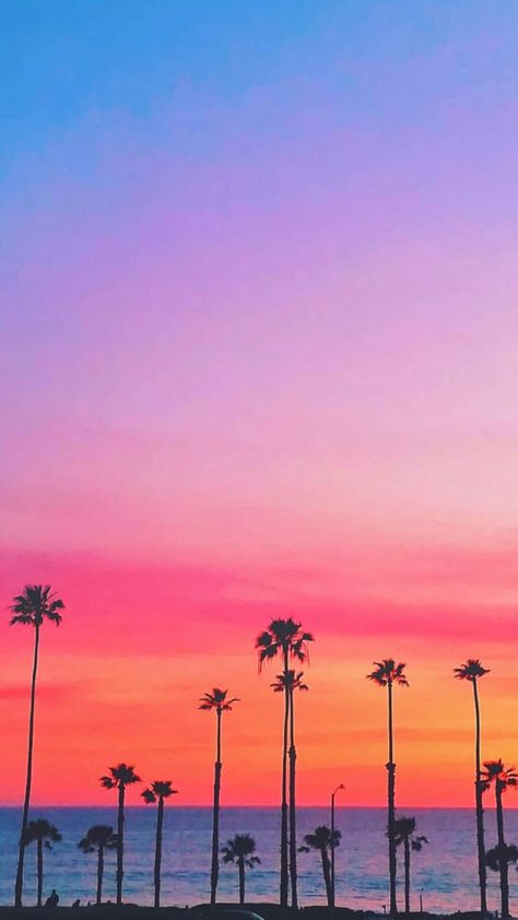 Miami Sunset Aesthetic, Pink Tropical Aesthetic, Colorful Pastel Aesthetic, Pastel Aesthetic Wallpaper, Procreate Painting, Palm Trees Wallpaper, California Palm Trees, Hawaii Pictures, Palm Tree Sunset