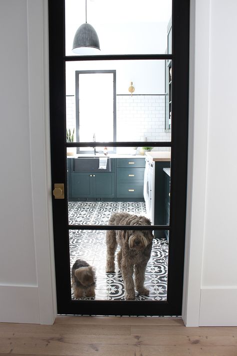 Laundry Dog Room, Door For Laundry Room, Dark Green Cabinets, Laundry Room Black, Silver Things, Laundry Doors, Pet Room, White Laundry Rooms, Room Dark