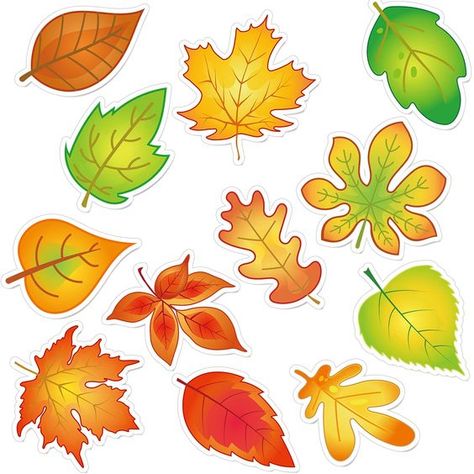 PRICES MAY VARY. Package includes: you will get 60 pieces of fall leaves accents cutouts in 12 different style,each style has 5 pieces, with 120 pieces of glue point dots, with autumn thanksgiving theme elements, which make those leaves are suitable for decorating walls, bulletin boards, doors and desks 12 Fall leaves designs: this set of fall leaf accents features assorted shapes of maple leaf cutout, common leaf cutout, ash leaf cutout, elm leaf cutout, birch leaf cutout, and others leaves and Fall Classroom Bulletin Boards, Wall Tree Decor, School Thanksgiving Party, Fall Leaves Pictures, Fall Window Painting, Elm Leaf, Thanksgiving Leaves, Ash Leaf, Thanksgiving Party Decorations